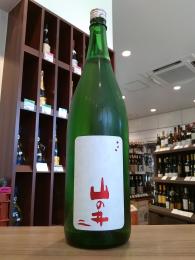 山の井　純米大吟醸　朝日50　1800ml